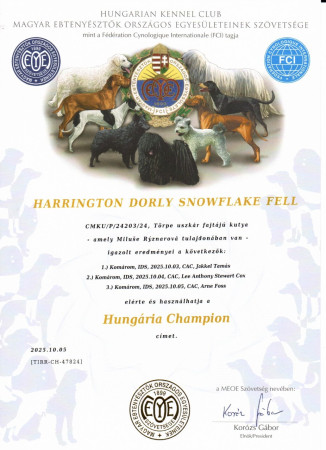 Maďarský šampion krásy